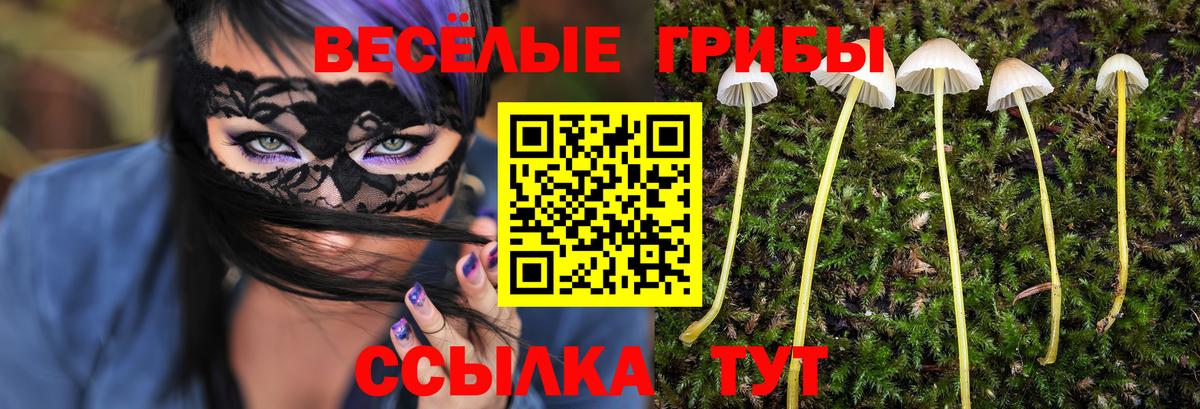 Якутск  Галлюциногенные грибы ЛСД  купить закладку  Вход с VPN  Псилоцибиновые грибы ЛСД 