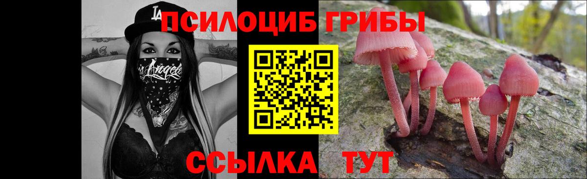 Галлюциногенные грибы мухоморы Якутск